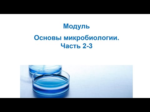 Видео: Основы микробиологии. Часть 2-3. Контаминация. Векторы в биотехнологии. Получение рекомбинантной ДНК