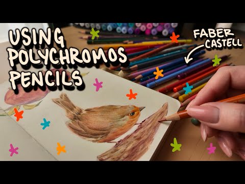 Видео: ИСПОЛЬЗУЯ КАРАНДАШИ POLYCHROMOS - ассортимента нет, но есть воля к жизни