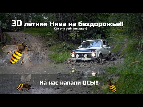 Видео: ЗАСАДИЛИ ВАЗ 2121 Нива на бездорожье!? ВАЗ 2121 НИВА  1988 года ПО ГРЯЗИ