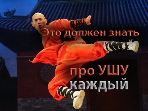 Видео: Что такое УШУ качественно и по делу  кунгфу удэ саньда традиция спорт  wudeschool