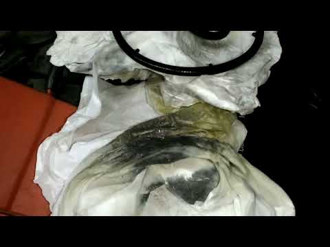 Видео: Замена масла в вариаторе Honda Accord 10 1.5 L 🇺🇦