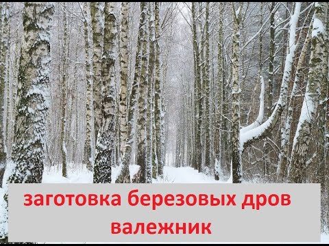 Видео: заготовка дров зимой! валежник