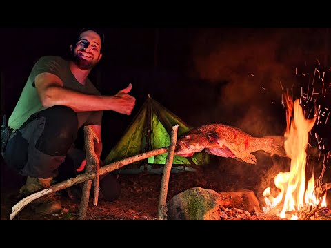 Видео: Две ночи в кемпинге. Питаюсь только тем, что сам добыл и добыл в дикой природе.