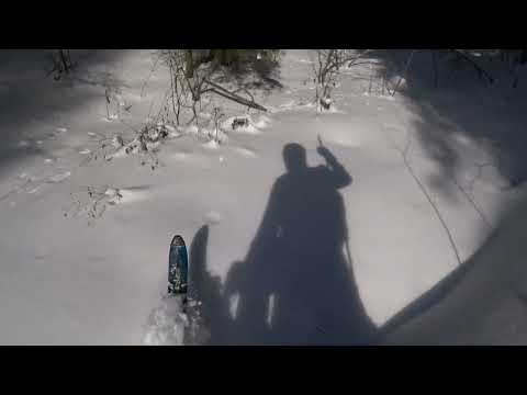 Видео: Будет, будет, лыжня будет