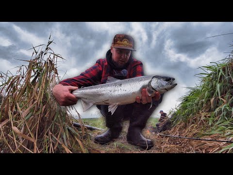 Видео: Поплавочная ловля кижуча в условиях слабого течения