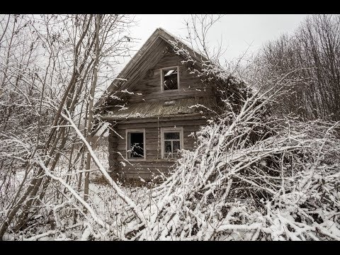 Видео: Лучшие моменты с копа за ноябрь.