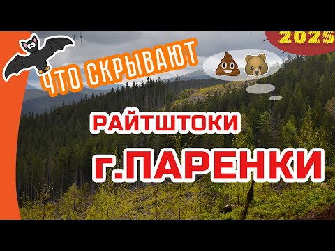 Видео: КТО 💩 на тропе❓❓❓ ЛЕТУЧАЯ МЫШЬ и индийская кухня 😄 😜
