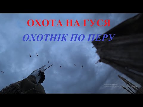 Видео: Охота на гуся "Борьба с конкурентами"