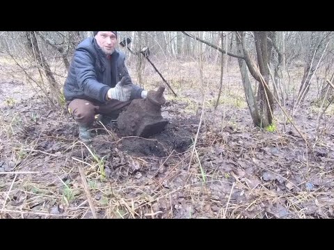 Видео: МЕТАЛЛОКОП на торфяниках. Результатом доволен.  Хороший металл найден.