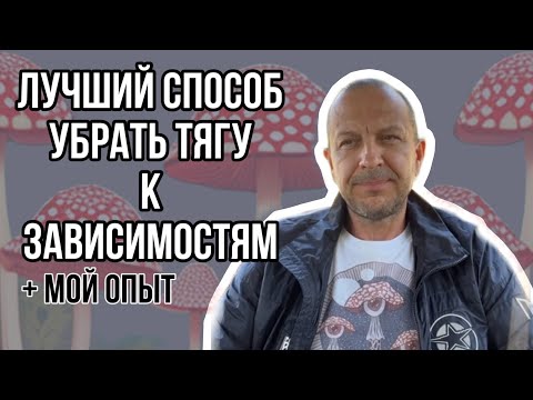 Видео: КАК БЫСТРО И НАВСЕГДА ИЗБАВИТЬСЯ ОТ ЗАВИСИМОСТЕЙ?