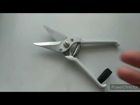 Видео: Ножницы для обрезки козам копыт👍Козы и козлята.