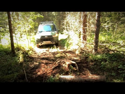Видео: Вожегодский ЛАГПУНКТ НКВД, вторая ЭКСПЕДИЦИЯ. Служим МОЛЕБЕН, ищем ГРАНИЦЫ. Здесь УМИРАЛИ за ВЕРУ.