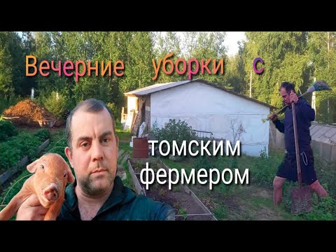 Видео: Вечерние уборки с ТОМСКИМ ФЕРМЕРОМ