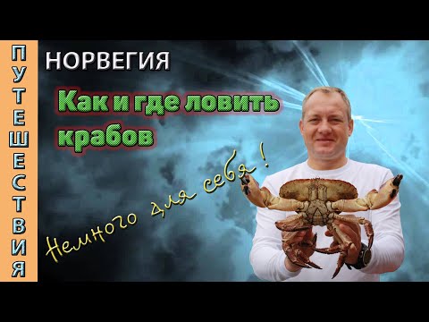 Видео: Ловля крабов в Норвегии. НЕУДАЧИ и ПОБЕДЫ