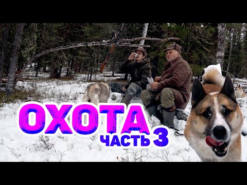 Видео: МЕСЯЦ В ТАЙГЕ: КЕДРОВЫЙ ОРЕХ, МОКРЫЙ СНЕГ И БОРЩ