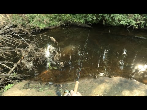 Видео: Не поймал.. но ЗДОРОВЕННЫЕ, ЭМОЦИЙ ЧЕРЕЗ КРАЙ!!! Форель Ленинградской области