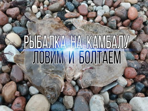 Видео: Камбала.Рыболовные путешествия. Ловля на донки.Рыбалка в Балтийском море.