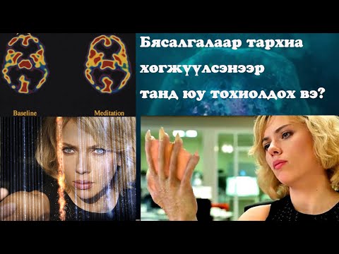 Видео: №41 》Бясалгалаар тархиа хөгжүүлвэл юу болох вэ? (випшнья, нүүдэлчдийн бясалгал)