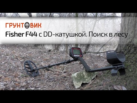 Видео: Металлоискатель Fisher F44 с DD катушкой. Поиск в лесу