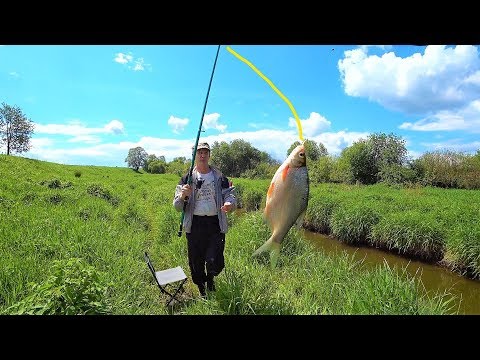 Видео: ЛОВЛЯ НА МАНКУ- БОЛТУШКУ.