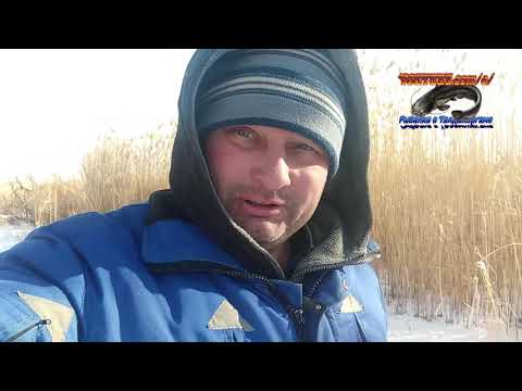 Видео: Поиски рыбы в окрестностях Уштобе 04.01.21