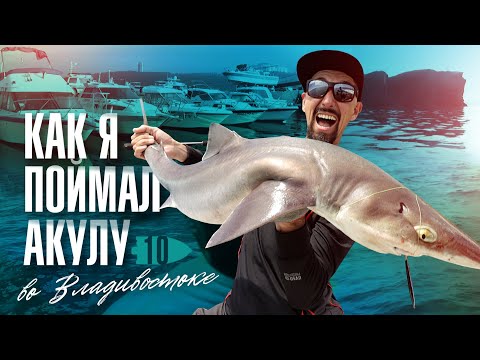 Видео: Как я поймал Акулу, или рыбалка с лодки во Владивостоке