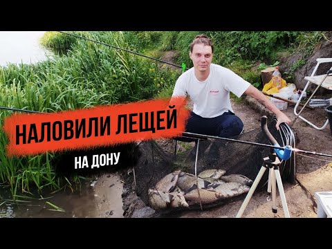 Видео: Отличный клев лещей на Дону в Липецкой области