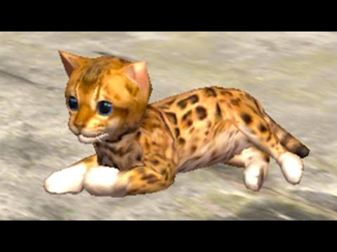 Видео: Симулятор КОШЕК #4 Маленький рыжий котик против Собак в Ultimate Cat Simulator с Кидом на пурумчата