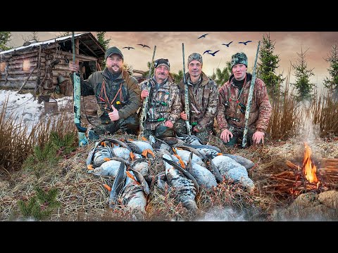 Видео: Охота на гуся в Архангельской области