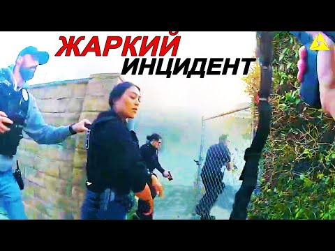 Видео: Не поделили наследство