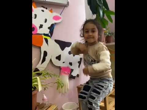 Видео: 23 ноября 2024 г.