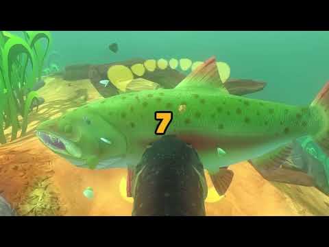 Видео: Я вывел рыбу, которая ест буквально всё
