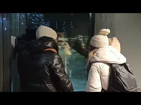 Видео: Снег кружится. Кавер Петра Петрова. Яшкино