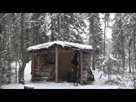 Видео: ЖИВЁМ В ТАЁЖНОЙ ИЗБЕ.Открываю капканы на пушнину