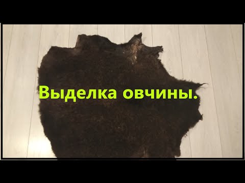 Видео: Выделка шкур. Овчина. Простой способ выделки шкуры без специальных приспособлений.