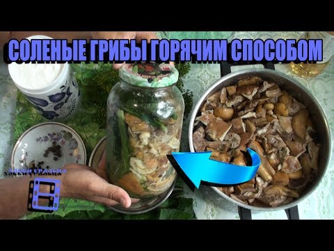 Видео: СУПЕР РЕЦЕПТ СОЛЕНЫХ ГРИБОВ. ХРУСТЯЩИЕ СОЛЕНЫЕ ГРИБЫ - ОРИГИНАЛЬНЫЙ РЕЦЕПТ. РЕЦЕПТЫ И ЗАГОТОВКИ