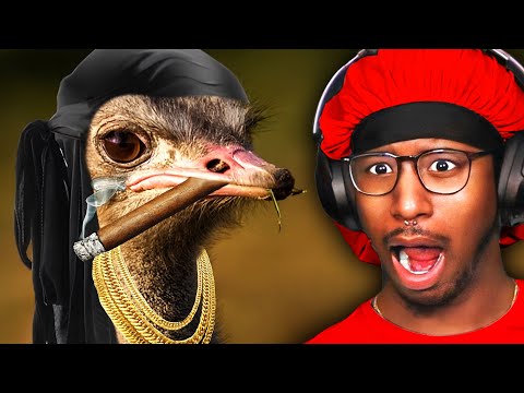 Видео: ПТИЦЫ С ЧЕРНОЙ ЭНЕРГИЕЙ ВВС!