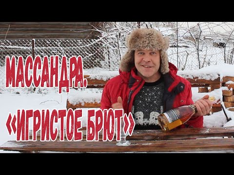 Видео: Шампанское. Массандра "игристое брют"