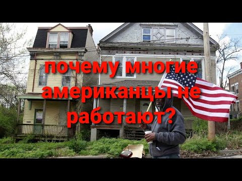 Видео: почему многие американцы не работают