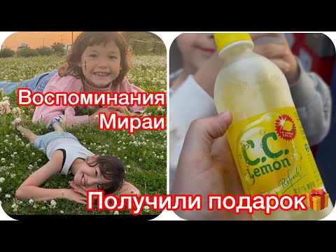 Видео: Наш любимый парк