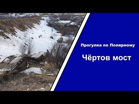 Видео: Прогулка по Полярному — выпуск 6