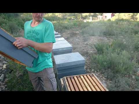 Видео: #ВГОСТЯХУПЧЕЛОВОДОВ На Испанской Эко- Пасеке у Степана Михайловича!