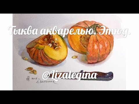 Видео: Как нарисовать тыкву акварелью