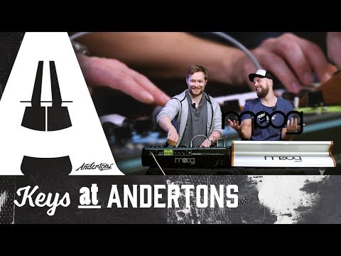 Видео: Moog Following 37 против Moog Grandmother — Битва Moog!