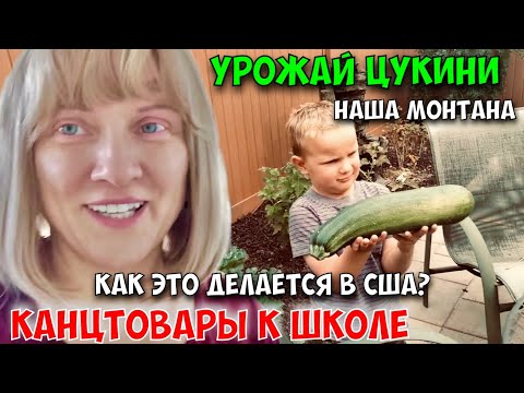 Видео: Подготовка к школе. Покупка школьных принадлежностей.