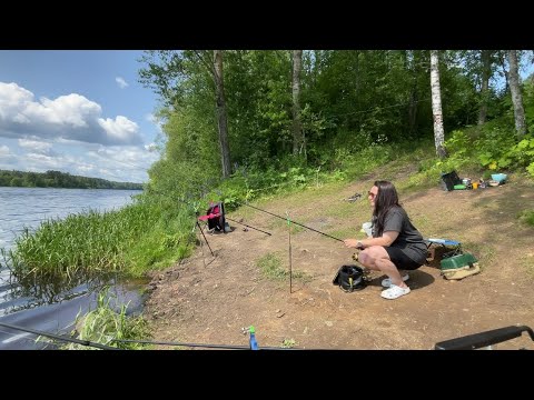 Видео: РЫБАЛКА и ОТДЫХ на Западной Двине #рыбалка #фидер #рыбалканафидер 