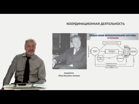 Видео: Евсеев А.В. Нормальная физиология. Лекция №11. Координационная деятельность ЦНС. Гемодинамика. 2023
