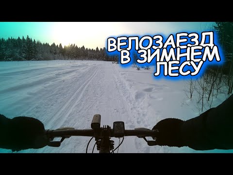 Видео: ВЕЛОПОКАТУШКА В ЗИМНЕМ ЛЕСУ / ЧАЁК НА СВЕЖЕМ ВОЗДУХЕ