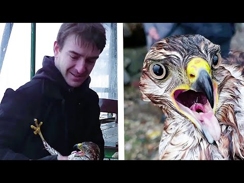 Видео: Бросился в шторм спасать. На таких и держится Мир! Абхазия. Новый Афон