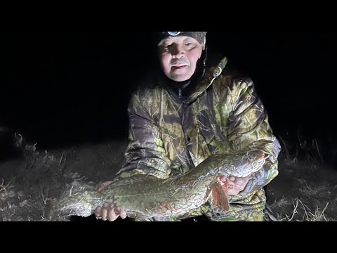 Видео: Наконец-то Нура ощасливила нас НАЛИМОМ!!!!!!